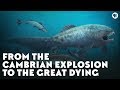 Paleozoic Era Evolutionary Developments
