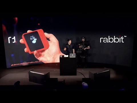 rabbit quarterly update