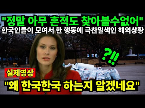 "정말 아무 흔적도 찾아볼수없어" 한국인들이 모여서 한 행동에 극찬일색인 해외상황 "왜 한국한국 하는지 알겠네요"