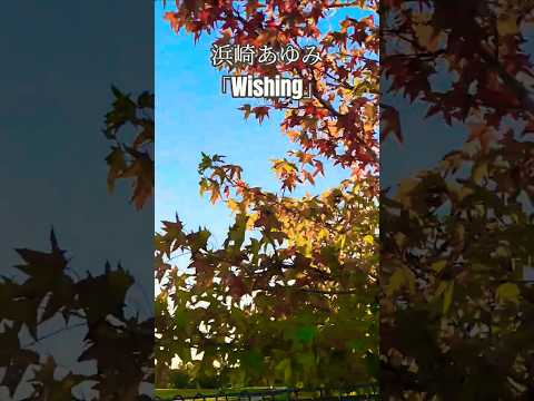 ラグーナ付近の風景です。だいぶ紅葉してきました。この動画を見ながら浜崎あゆみさんのWishingを聴いてください。#浜崎あゆみ #Wishing#バラード #紅葉 #風景 #ラグーナ #蒲郡市