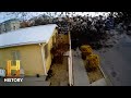 Unusual Bird Incidents and Theories