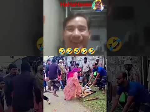 entertaining and can't help laughing