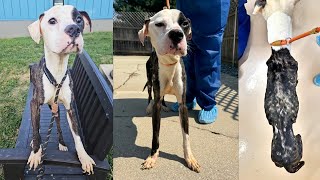 Emaciated, with no hope in his eyes, he had lost all belief in humanity.