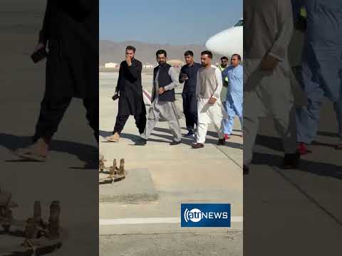 Rashid Khan arrives in Kandahar | راشد خان وارد کندهار شد