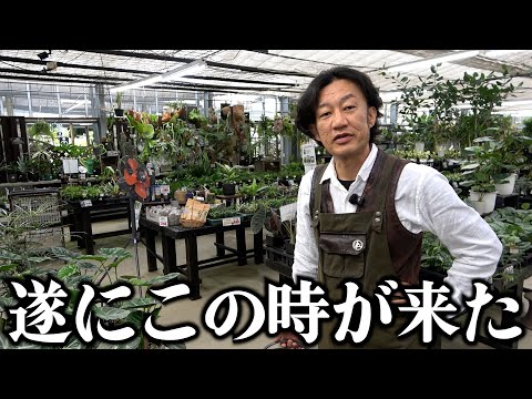 【お知らせ】お得なセールやります!!!!【カーメン君】【園芸】【ガーデニング】