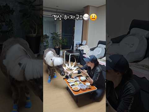 누나랑 겸상하고 싶어!!🍚😫 Let's eat together🦄❤️🔥