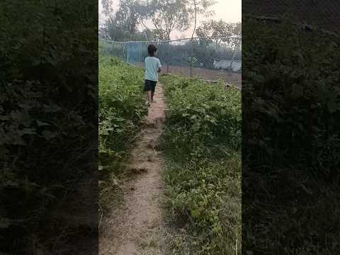 #nature 😘😘😘 #love gaon hashtag