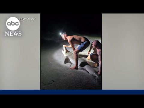 YouTube video thumbnail: Man Bitten While Taking Photo With Shark in Florida