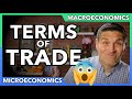 Understanding Terms of Trade