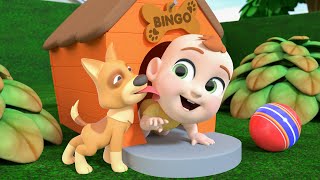 Baby's First Bingo + More Baby Songs & Nursery Rhymes