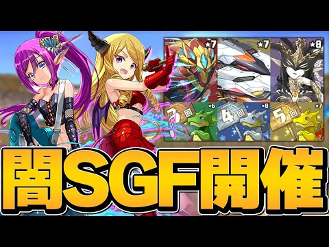 新フェス限狙いで１０万円ゴッドフェス！上限解放は何体落ちる？確率検証→闇ガチャ【パズドラ】
