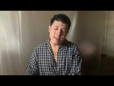 White Mercedes - Charli XCX (Cover)