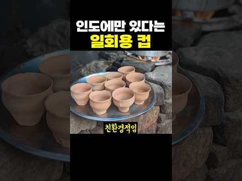인도에만 있다는 일회용 컵.jpg