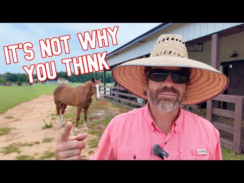 REAL Reason Why The Horses Can’t Go In There!