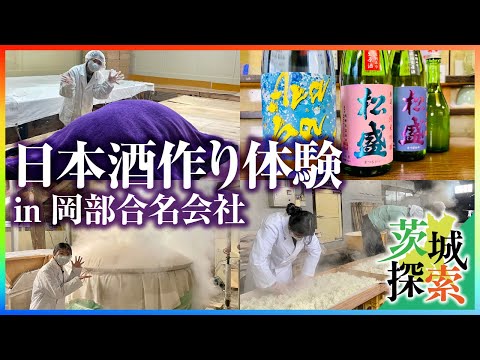 【日本酒作り体験 in 岡部合名会社】茨城の地酒「松盛」醸造元 岡部合名会社さんで日本酒仕込みを体験させてもらいました♪これを見たら日本酒がもっと好きになります【常陸太田市】