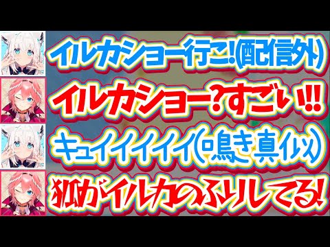 【ホロ鯖サマーパーク】配信外でルイ姉の前に現れ、イルカショーで鳴き真似しながらイルカになりきって泳ぐ"狐"フブさんw【ホロライブ切り抜き/鷹嶺ルイ/白上フブキ/夏色まつり】