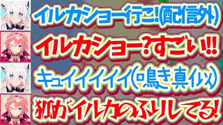 【ホロ鯖サマーパーク】配信外でルイ姉の前に現れ、イルカショーで鳴き真似しながらイルカになりきって泳ぐ"狐"フブさんw【ホロライブ切り抜き/鷹