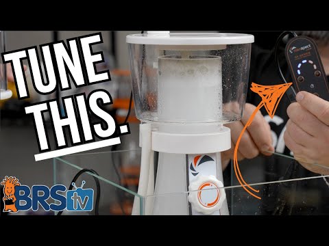 Tune Your Protein Skimmer Like a Pro!