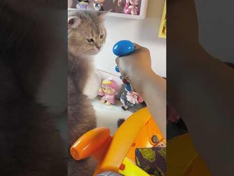 Aliens invade and steal dinosaur eggs!