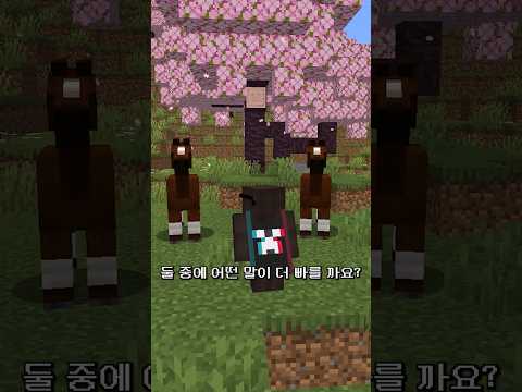 마인크래프트 <strong>말</strong> <strong>속도</strong> 구분하는 방법