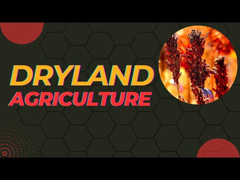 शुष्कभूमि कृषि या बारानी खेती Dryland farming | Dryland Agriculture #drylands #agriculture #faming