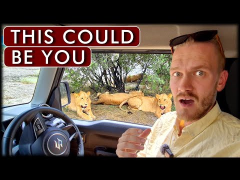 Why Most Tourists Are Not Seeing Animals on a Safari