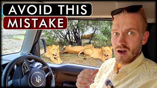 Why Most Tourists Are Not Seeing Animals on a Safari