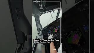 Boeing 737 Fog Landing Clip