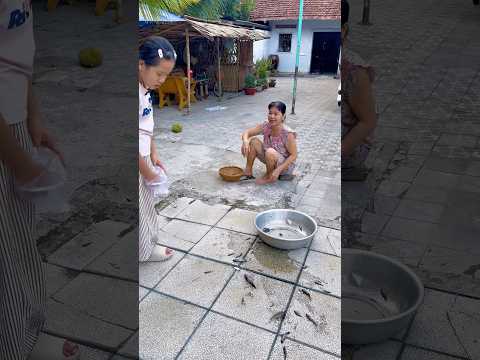 Bạch tuột nè ngoại/kykycute #shortvideo
