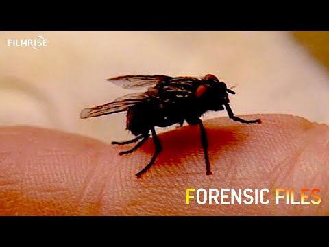 Forensic Files - Season 1, Episode 6 - Southside Strangler - (In HD)