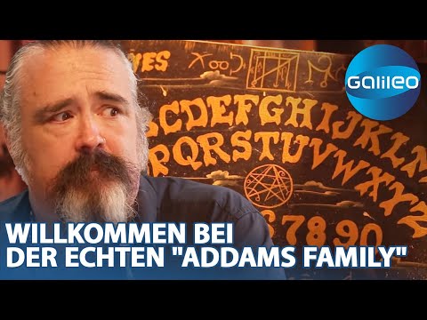 Totenköpfe, Kakerlaken und Co: Bei der Familie Schreck herrscht Halloween über das ganze Jahr!