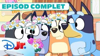 🏠 Înlăturare | Blue | Disney Junior România