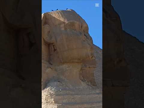 My adventure in Egypt 🇪🇬 ❤️ 😍 #travel #TheQueen #music #love #live