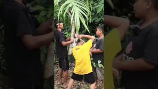 Kumpulan video lucu #ngakak #komedi #dramakomedi 