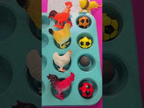 يا دجاجاتي ماء ماءءء🐄🐂🐓🐔 شو بتفطروا🦩🌾🍂💐🫛🫕 #foryou