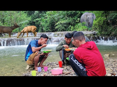 DAPAT MELIHAT SEMUA INI HANYA DI HUTAN ACEH