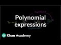 Understanding Polynomials