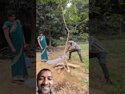 #youtube #shots #video #trending #shots #video #funny #shots #video #youtube #shots #video