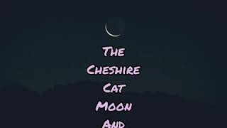 Moon Song (Lyric video)