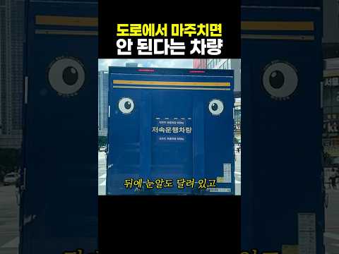 도로에서 마주치면 안 된다는 <strong>차량</strong>