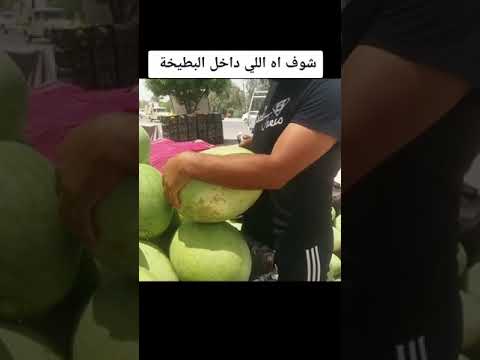 شوف اش حصل داخل البطيخة