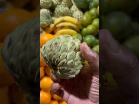 Fruit फल 🍎 खायो और सवस्त रहो। #viral #fruit #youtubeshorts #फल #shorts