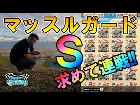 ドラクエウォーク380【Ｓを求めてマッスルガード連戦！次のメガモンが来る前に1つはゲットしておきたい！】