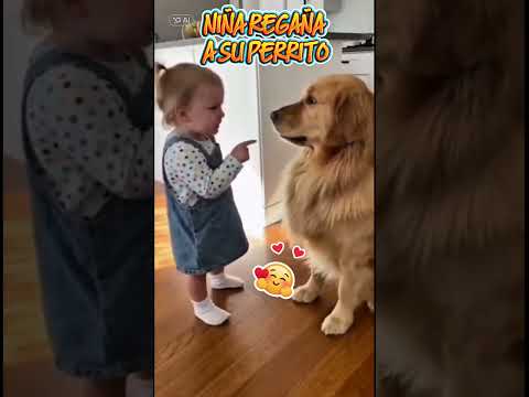 Niña regaña a su perrito 👶🐕 #perritotierno #VideoViral #mascotas #ternura #redessociales