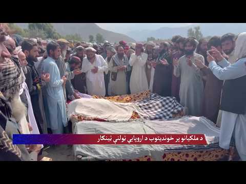 د ملکیانو پر خوندیتوب د اروپايي ټولنې ټینګار