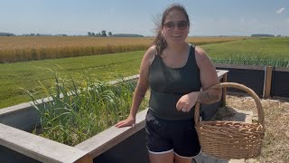 An unexpected harvest I Practicing patience in the garden**