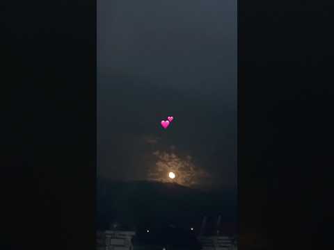 #terebina #music #bollywood #song #love #newsong #rohit_bhagat34 #nature #flowers #lifeisbutadream