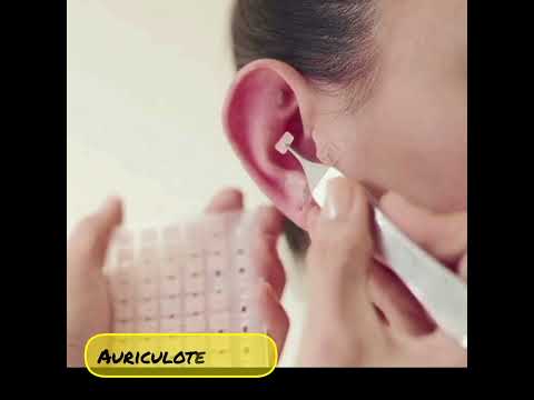 Maestría en Medicina tradicional y complementaria 2024