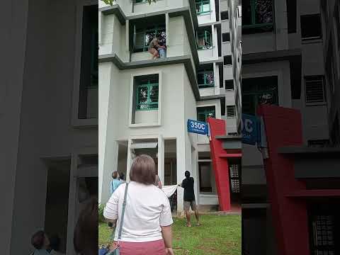 Toddler On Third-Floor Ledge Rescued by Good Samaritan