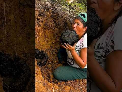 Así salimos a buscar la miel de tierra #campesina #naturaleza #campesinos #elcampo